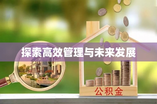 泌阳探索高效管理与未来发展