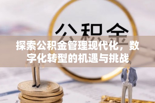 惠来探索公积金管理现代化，数字化转型的机遇与挑战