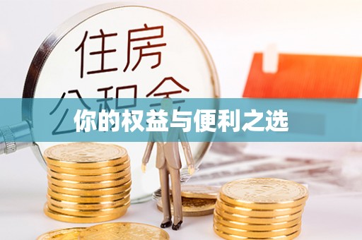 盐都你的权益与便利之选
