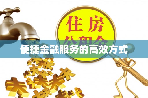 普安便捷金融服务的高效方式
