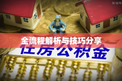 清新全流程解析与技巧分享