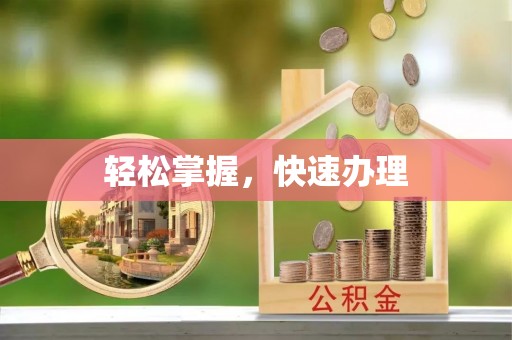 娄星轻松掌握，快速办理