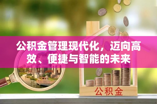 盐田公积金管理现代化，迈向高效、便捷与智能的未来