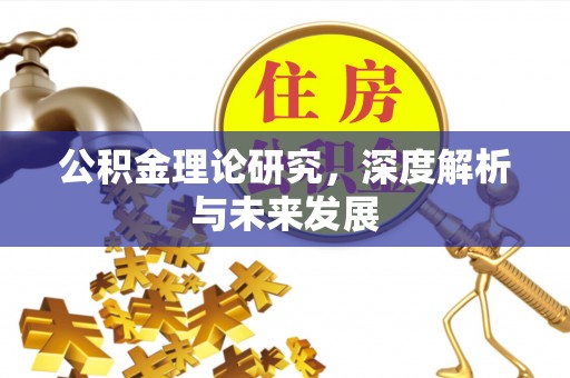 盐田公积金理论研究，深度解析与未来发展
