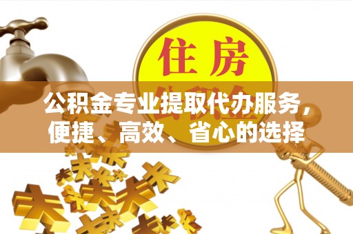 新建公积金专业提取代办服务，便捷、高效、省心的选择