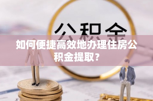 那玛夏如何便捷高效地办理住房公积金提取？