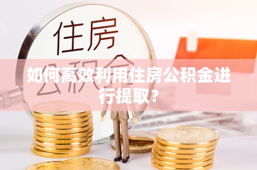 安多如何高效利用住房公积金进行提取？