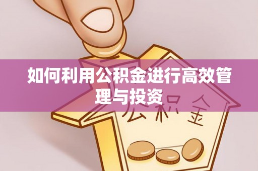 安多如何利用公积金进行高效管理与投资