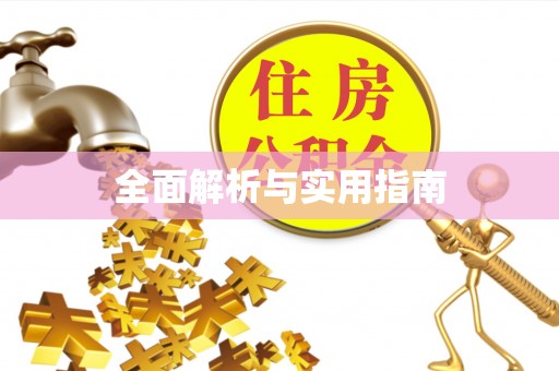 竹崎全面解析与实用指南