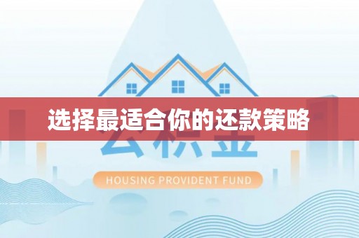 大湖选择最适合你的还款策略