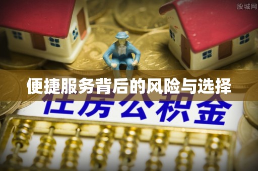 大湖便捷服务背后的风险与选择