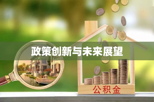 南乐政策创新与未来展望