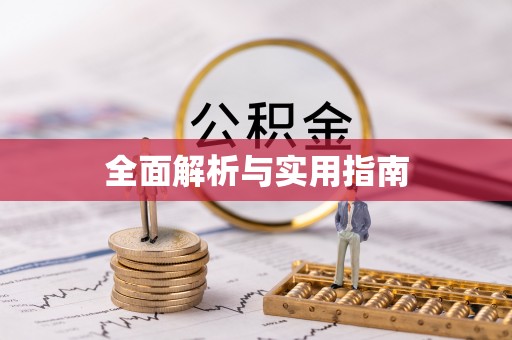 曾都全面解析与实用指南