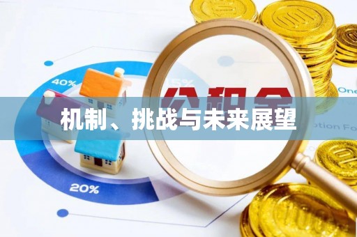 陕西机制、挑战与未来展望